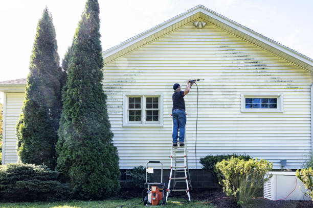 Trusted Belleville, IL Pressure Washing Services Experts